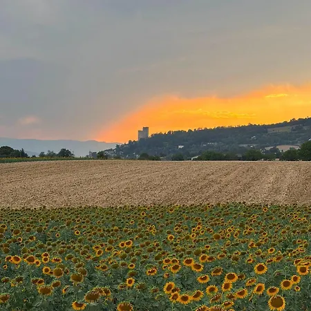 Le Cocon Du Pas De Lauzens